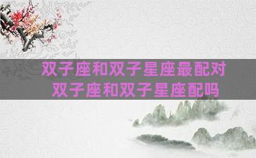 双子座和双子星座最配对 双子座和双子星座配吗 双子座和双子星座最配对 双子座和双子星座配吗